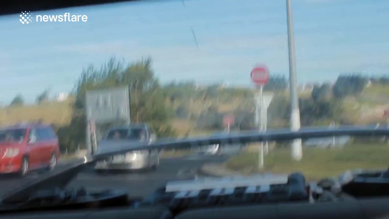 100 km per hour pizza delivery