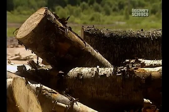 Как это сделано - Зубочистки