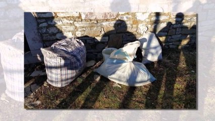 KAPEN 109 KG KANABIS SATIVA NE SHKODER, ARRESTOHET NJE PERSON, 2 TE TJERE NE KERKIM LAJM