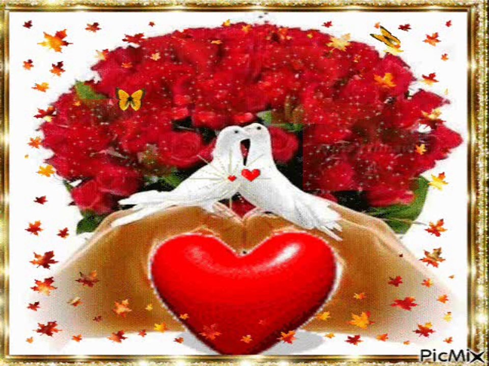 GORDA SUM - JAGODA ANGELOVSKA ILIEVSKA - V I D A K -