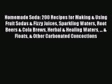 [PDF Download] Homemade Soda: 200 Recipes for Making & Using Fruit Sodas & Fizzy Juices Sparkling