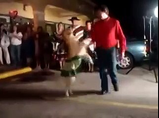 Когда собака танцует лучше тебя