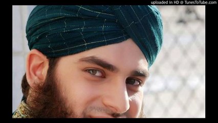 Dar e Nabi Par - Hafiz Ahmed Raza Qadri