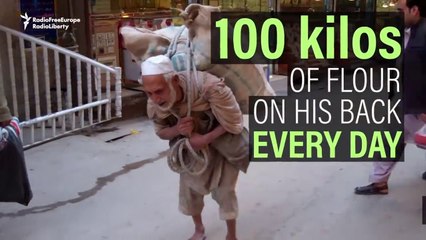 You think your job is tough?