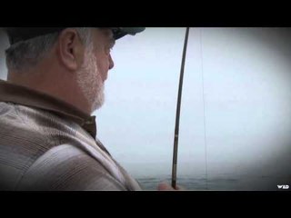 Best of Bull Run - Blue Sharks 2011