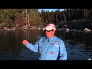 Maximum Limit Fishing - August Whities