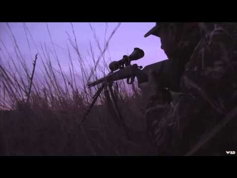 The Canadian Guide Life - Saskatchewan Mule Deer