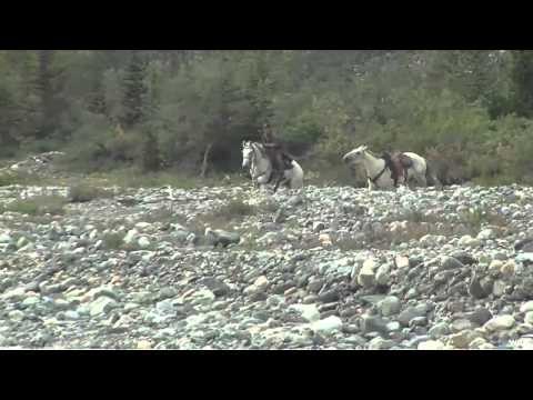 Where in the World is Colorado Buck - BC Stone Sheep Hunt