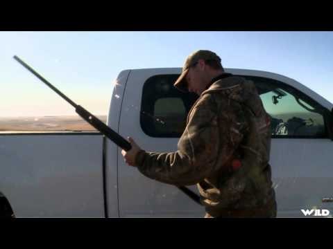 Hunting Canada and Beyond - Upland Bird Hunting