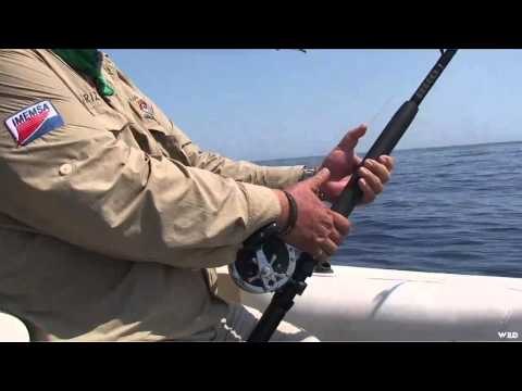 Adventures South of the Border - Mazatlan Sailfish
