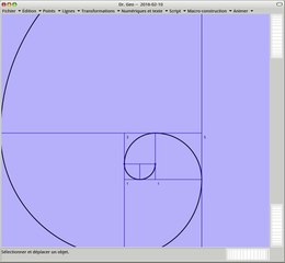 Fibonacci Spiral: Nature's Golden Pattern 🌻