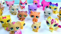 LPS Collection Tour Haul Video Bobblehead Littlest Pet Shop Kitty Cats Cookieswirlc Part 3