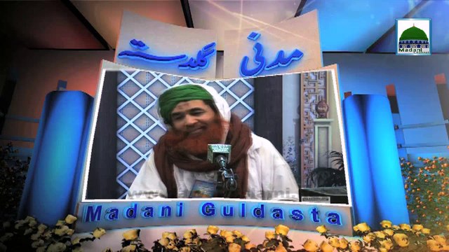Sari ka Hukum - Maulana Ilyas Qadri - Madani Guldasta 222