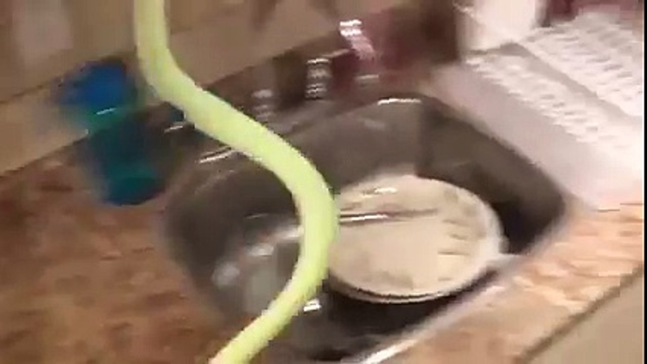Best Pranks with Girlfriend in the Bathroom (Funny Videos 720p)