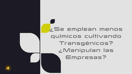 ¿Se emplean menos químicos cultivando transgénicos? ¿Manipulan las empresas?