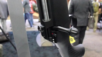 First Look: Sauer 101