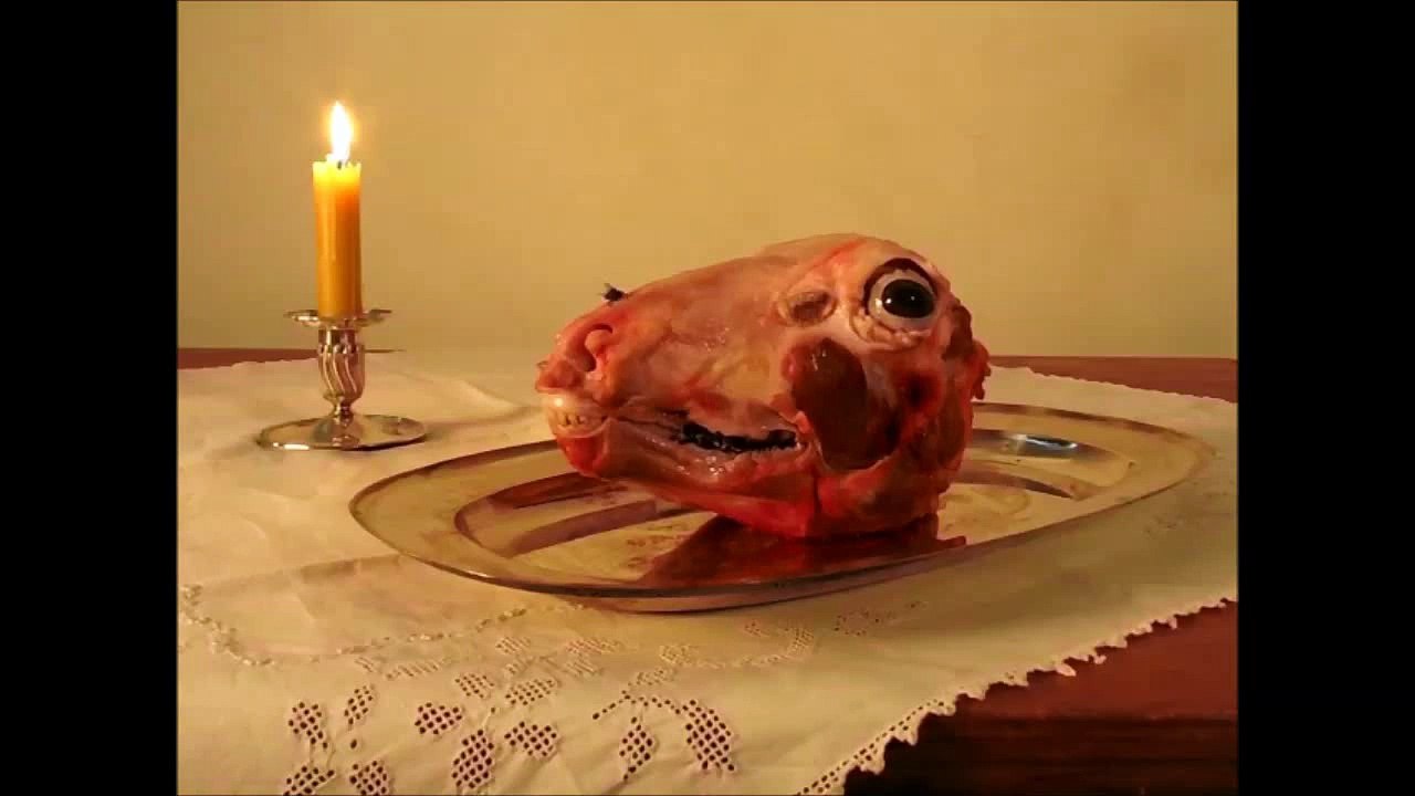 Disgusting Stupid Animation