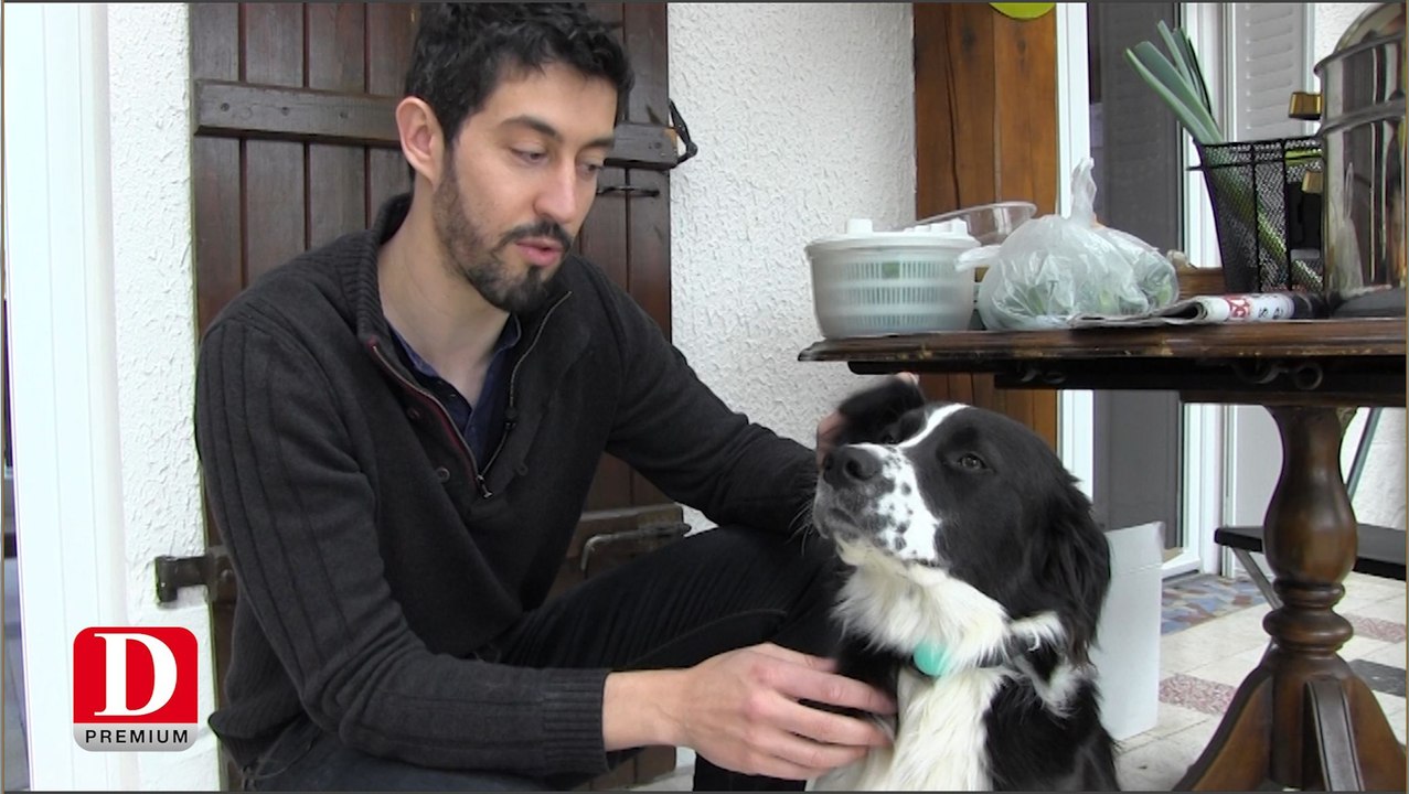 Albi : un collier connecté pour surveiller l'alimentation des chiens et chats