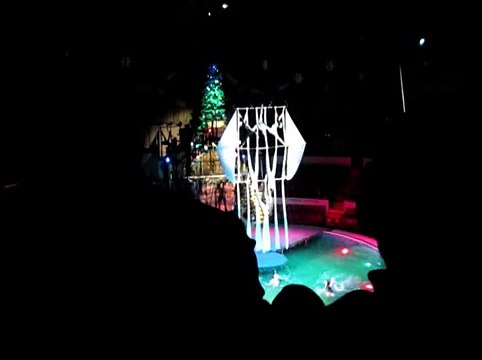 Синхронная акробатика. Цирк на воде