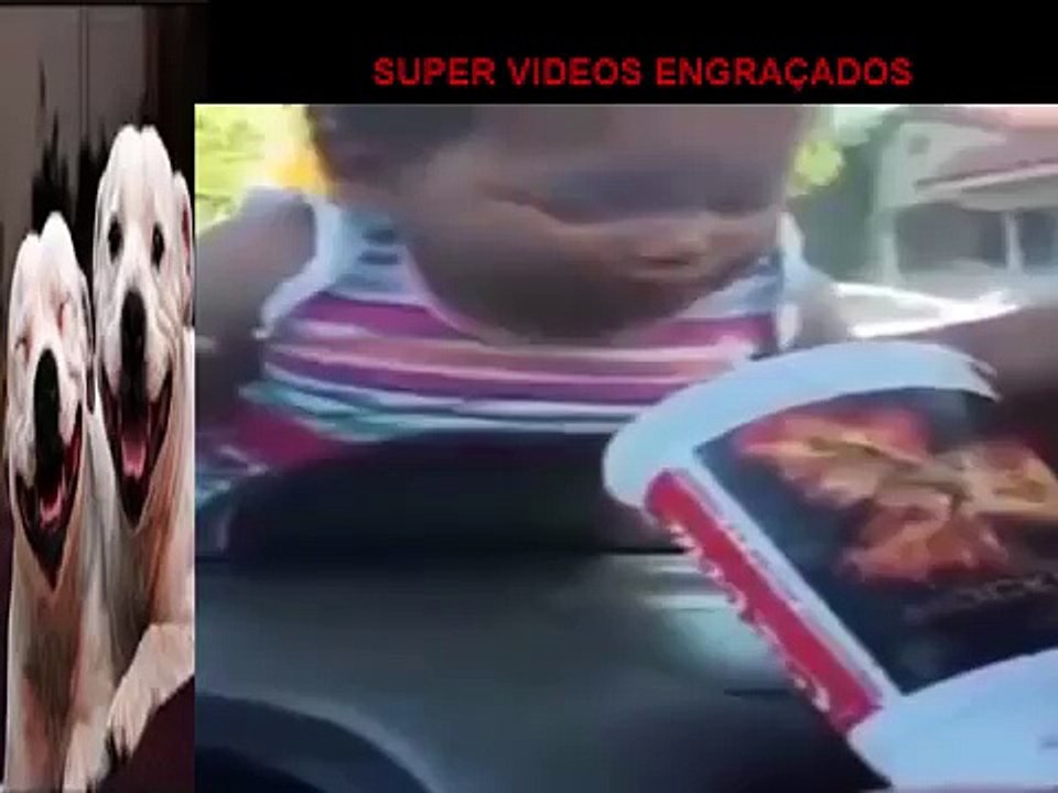 Vídeos Engraçados Tombos, Cassetadas, Bêbados, Trollagens, Piadas, Crianças, Whatsapp, Zue