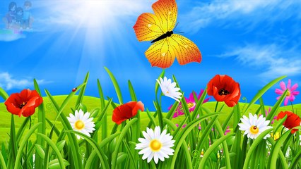 The Finger Family Butterfly Family Nursery Rhymes | Butterfly Finger Family Songs