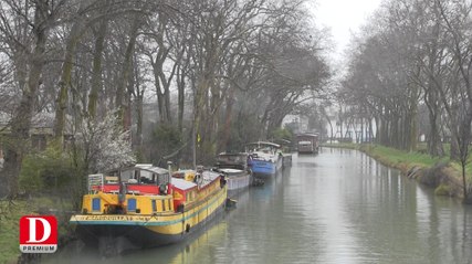 Flash info 10/02/2016 Des entreprises mobilisées pour sauver le Canal du Midi