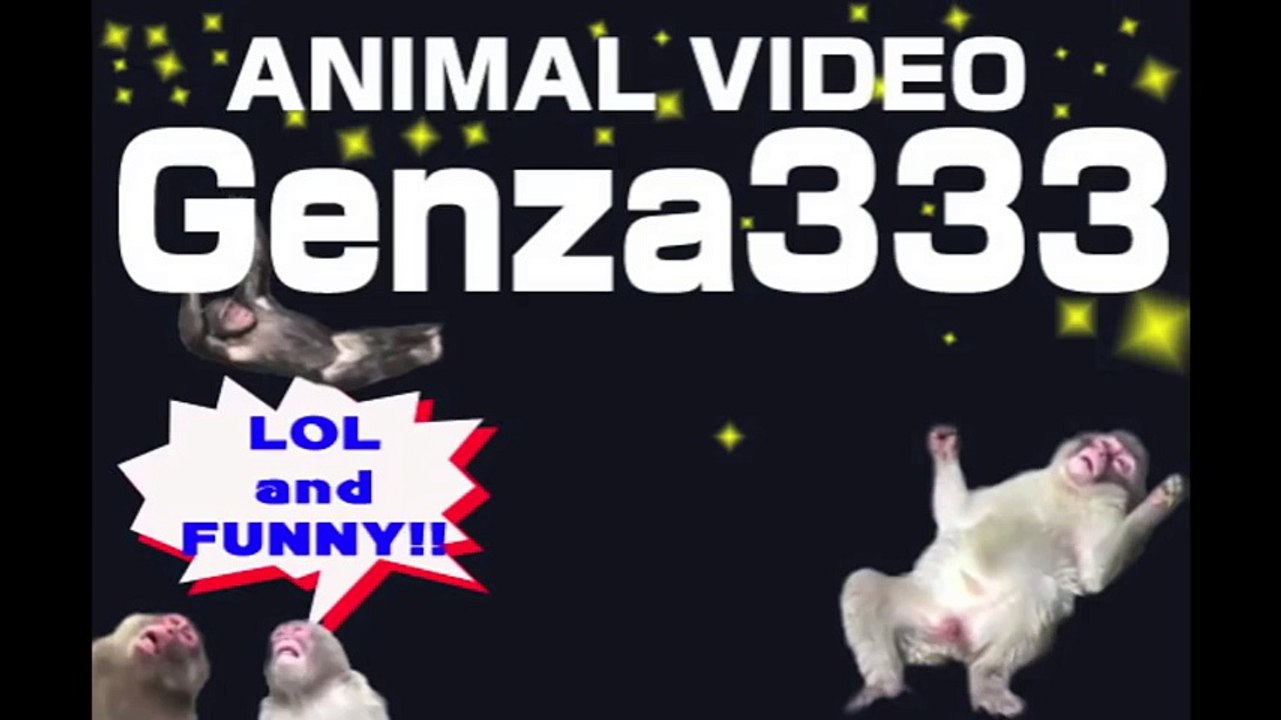 Animal Fight