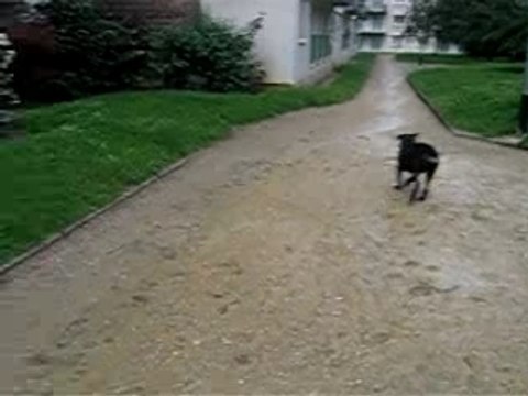 petit moment de jeu après la pluie