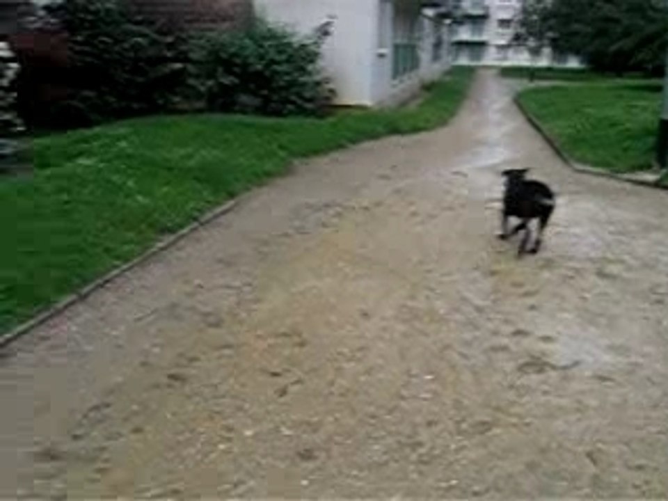 petit moment de jeu après la pluie