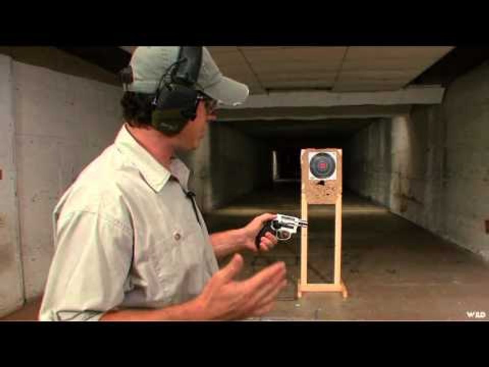 Guns  Gear - Laser Training Custom Fitting