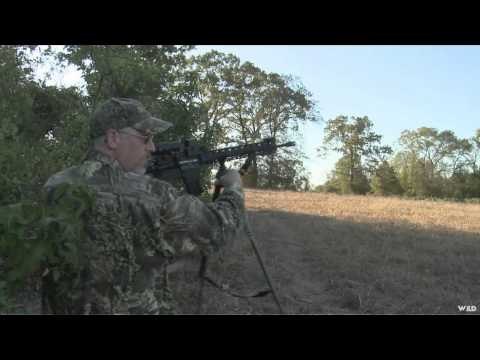 MOJOs Coming to the Call - Time For Texas Predators