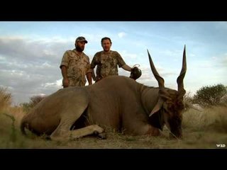 Aim On Africa - The Biggest Antelope in Africa