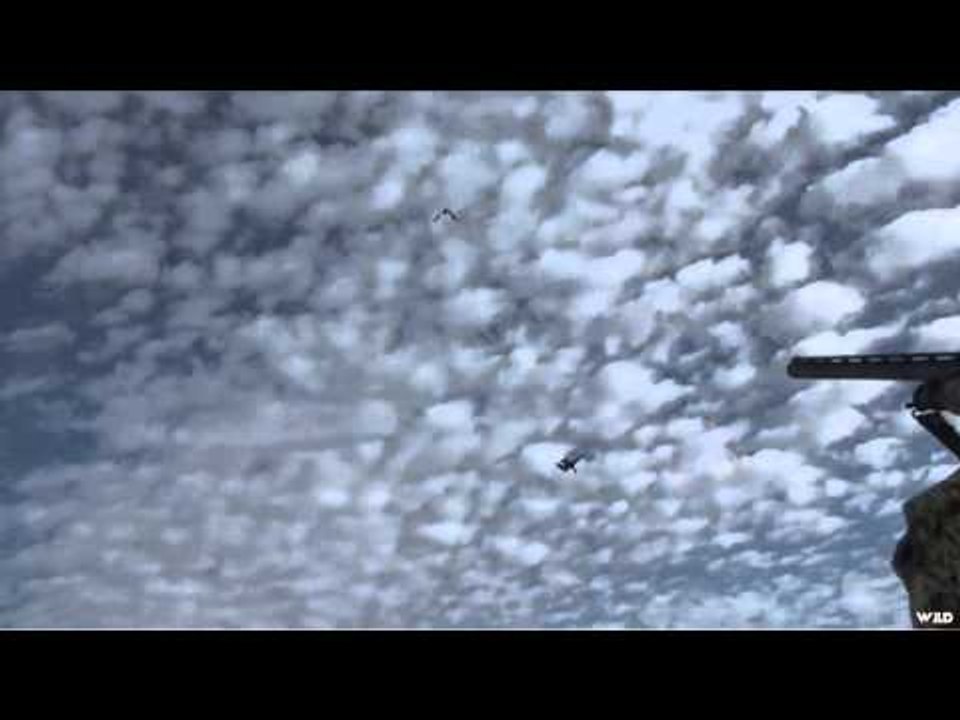 M2D Camos Livin the Dream - Nevada Waterfowl Hunt