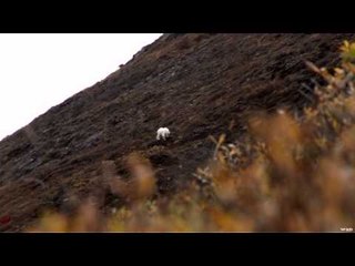Outdoor Quest TV - BC Goat Hunt