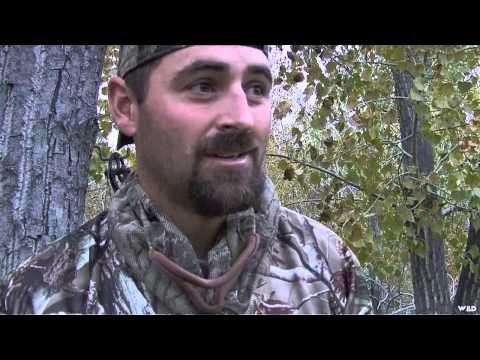 The Canadian Guide Life - Montana Elk and Saskatchewan Whitetail