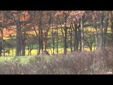 A Hunters Life - Heartland Whitetail