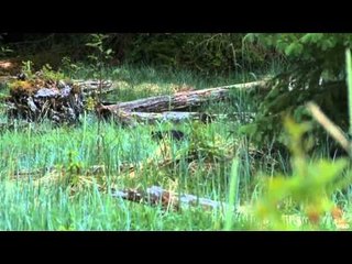 OutfittersRatingTV - BC Bears Part 2