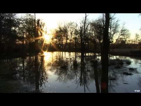 Northwest Hunter - Buffelspan Safari Part 2