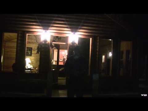 North American Safari - New Mexico Elk