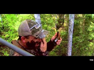 Primos  The Truth About Hunting - Black Bear in Canada