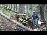 M2D Camos Livin the Dream - Idaho Bear Hunt