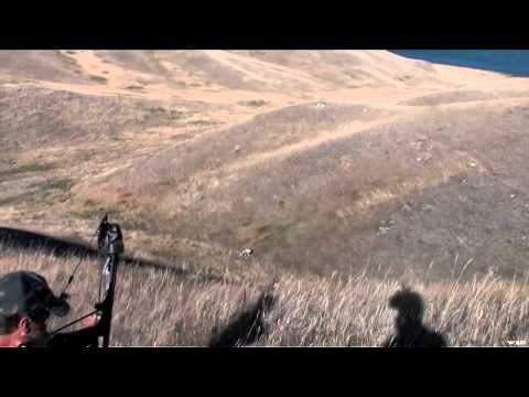 Relentless Pursuit - Long Shot Mulie