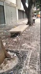 Así dejaron Sabana Grande durante los días de Carnaval