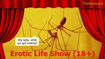 Animal SEX Show (18 ) - Mating animals life on stage - सेक्स जानवरों - الحيوانات الجنس