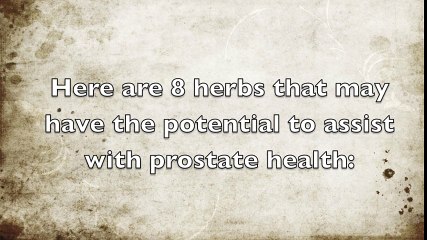 Herbs to Use For Prostate Health