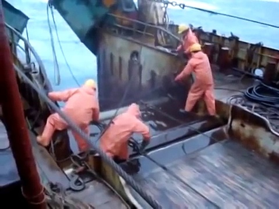 Самая страшная и опасная работа в мире!