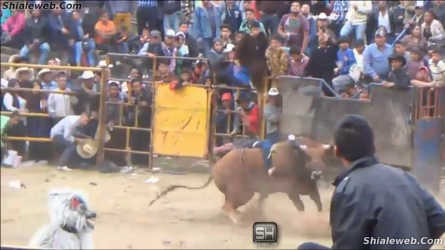 SUPER JARIPEO RANCHERO EN TZURUMUTARO MICHOACAN MEXICO 4 GANADERIAS CON SUS MEJORES TOROS SEGUNDO DIA FEBRERO 2016