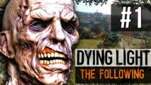 Dying Light: The Following | HEAVY METAL GIRL!! (PS4)