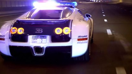 Best COUB. Подборка недели #46.1