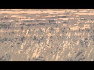 Predator Quest  - Island Boat Hunt